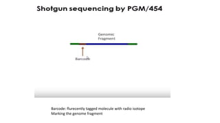 Barcode: flurecently tagged molecule with radio isotope
Marking the genome fragment
 
