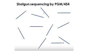 Dna sequencing techniques