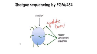 Dna sequencing techniques