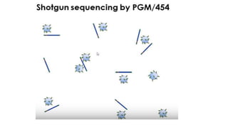 Dna sequencing techniques
