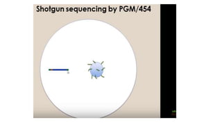 Dna sequencing techniques
