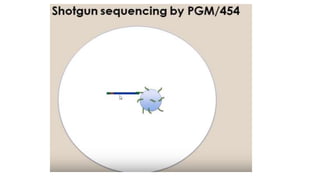 Dna sequencing techniques
