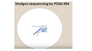 Dna sequencing techniques