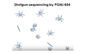 Dna sequencing techniques