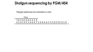 Dna sequencing techniques