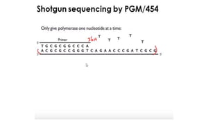 Dna sequencing techniques