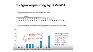 Dna sequencing techniques
