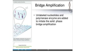 Dna sequencing techniques