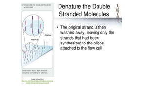 Dna sequencing techniques