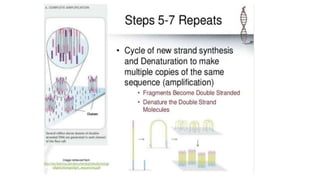 Dna sequencing techniques