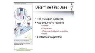 Dna sequencing techniques