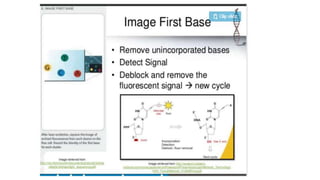 Dna sequencing techniques