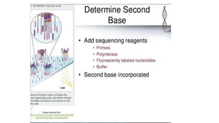 Dna sequencing techniques