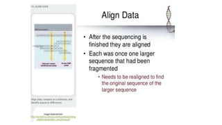 Dna sequencing techniques