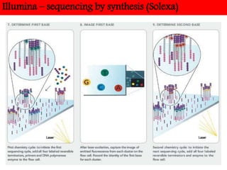 Illumina – sequencing by synthesis (Solexa)
 