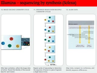 Illumina – sequencing by synthesis (Solexa)
 