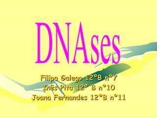 Filipa Galego 12ºB nº7 Inês Pita 12º B nº10 Joana Fernandes 12ºB nº11 DNAses 