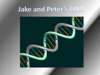 Jake and Peter’s DNA 
