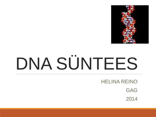 DNA SÜNTEES 
HELINA REINO 
GAG 
2014 
 