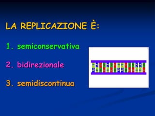 La replicazione è semiconservativa
la replicazione è
semiconservativa perché
ciascuna nuova molecola di
DNA contiene un
fi...