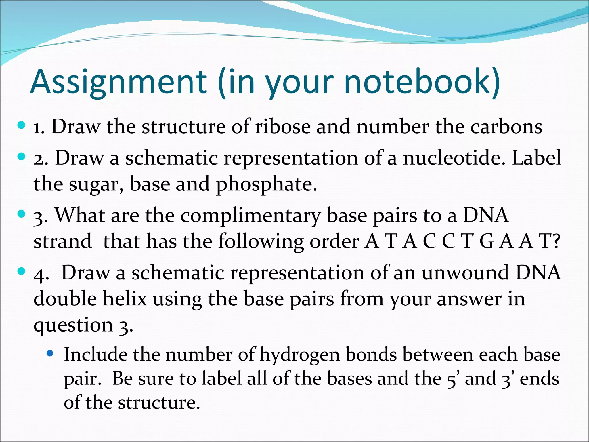 Assignment (in your notebook) 1. Draw the structure of ribose and number the carbons 2. Draw a schematic representation of a nucleotide. Label the sugar, base and phosphate. 3. What are the complimentary base pairs to a DNA strand  that has the following order A T A C C T G A A T? 4.  Draw a schematic representation of an unwound DNA double helix using the base pairs from your answer in question 3.  Include the number of hydrogen bonds between each base pair.  Be sure to label all of the bases and the 5’ and 3’ ends of the structure. 