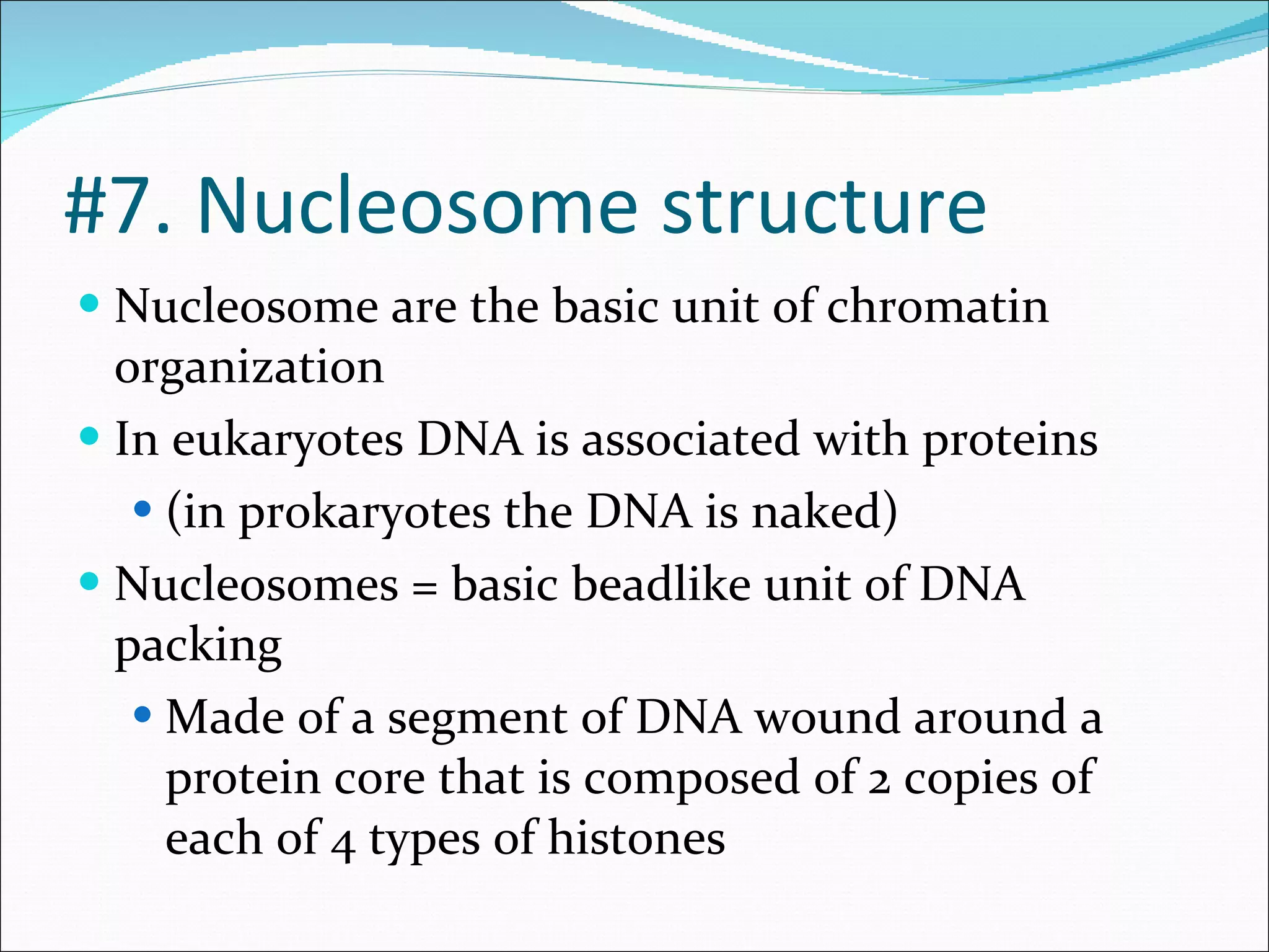 #7. Nucleosome structure Nucleosome are the basic unit of chromatin organization In eukaryotes DNA is associated with proteins (in prokaryotes the DNA is naked) Nucleosomes = basic beadlike unit of DNA packing Made of a segment of DNA wound around a protein core that is composed of 2 copies of each of 4 types of histones  