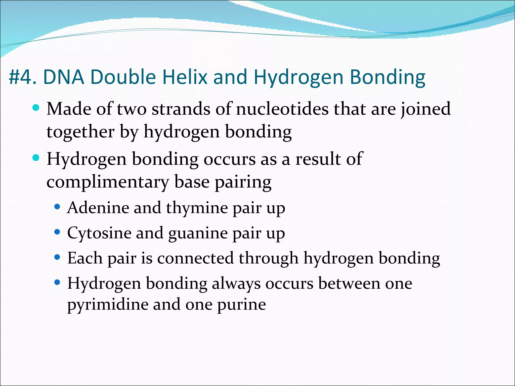 #4. DNA Double Helix and Hydrogen Bonding Made of two strands of nucleotides that are joined together by hydrogen bonding Hydrogen bonding occurs as a result of complimentary base pairing Adenine and thymine pair up Cytosine and guanine pair up Each pair is connected through hydrogen bonding Hydrogen bonding always occurs between one pyrimidine and one purine 