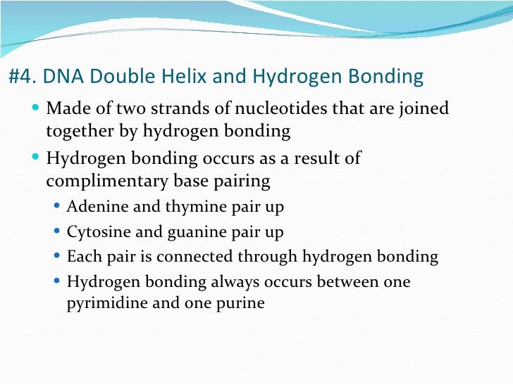 dna structure powerpoint