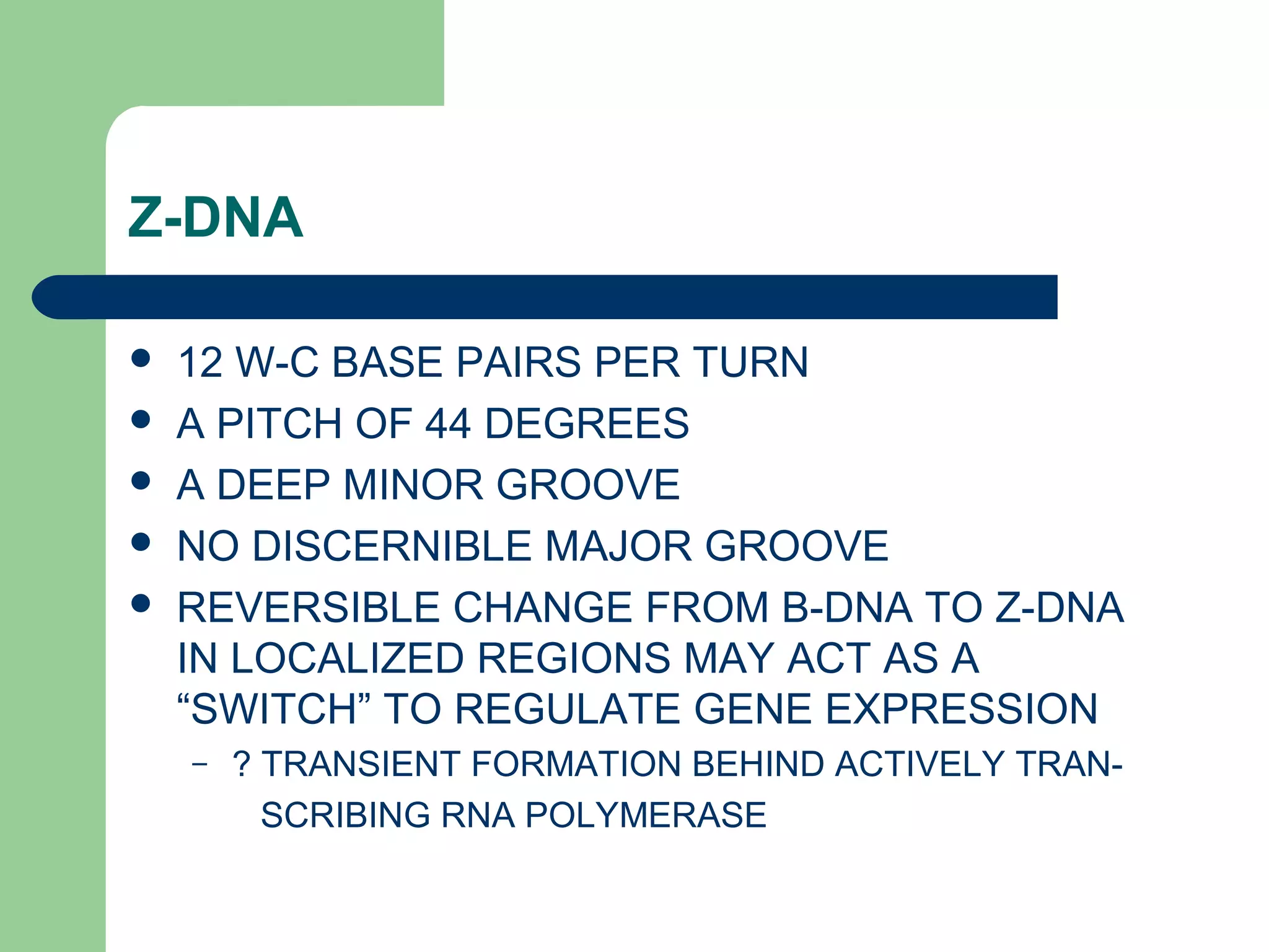 Z-DNA
 12 W-C BASE PAIRS PER TURN
 A PITCH OF 44 DEGREES
 A DEEP MINOR GROOVE
 NO DISCERNIBLE MAJOR GROOVE
 REVERSIBLE CHANGE FROM B-DNA TO Z-DNA
IN LOCALIZED REGIONS MAY ACT AS A
“SWITCH” TO REGULATE GENE EXPRESSION
– ? TRANSIENT FORMATION BEHIND ACTIVELY TRAN-
SCRIBING RNA POLYMERASE
 