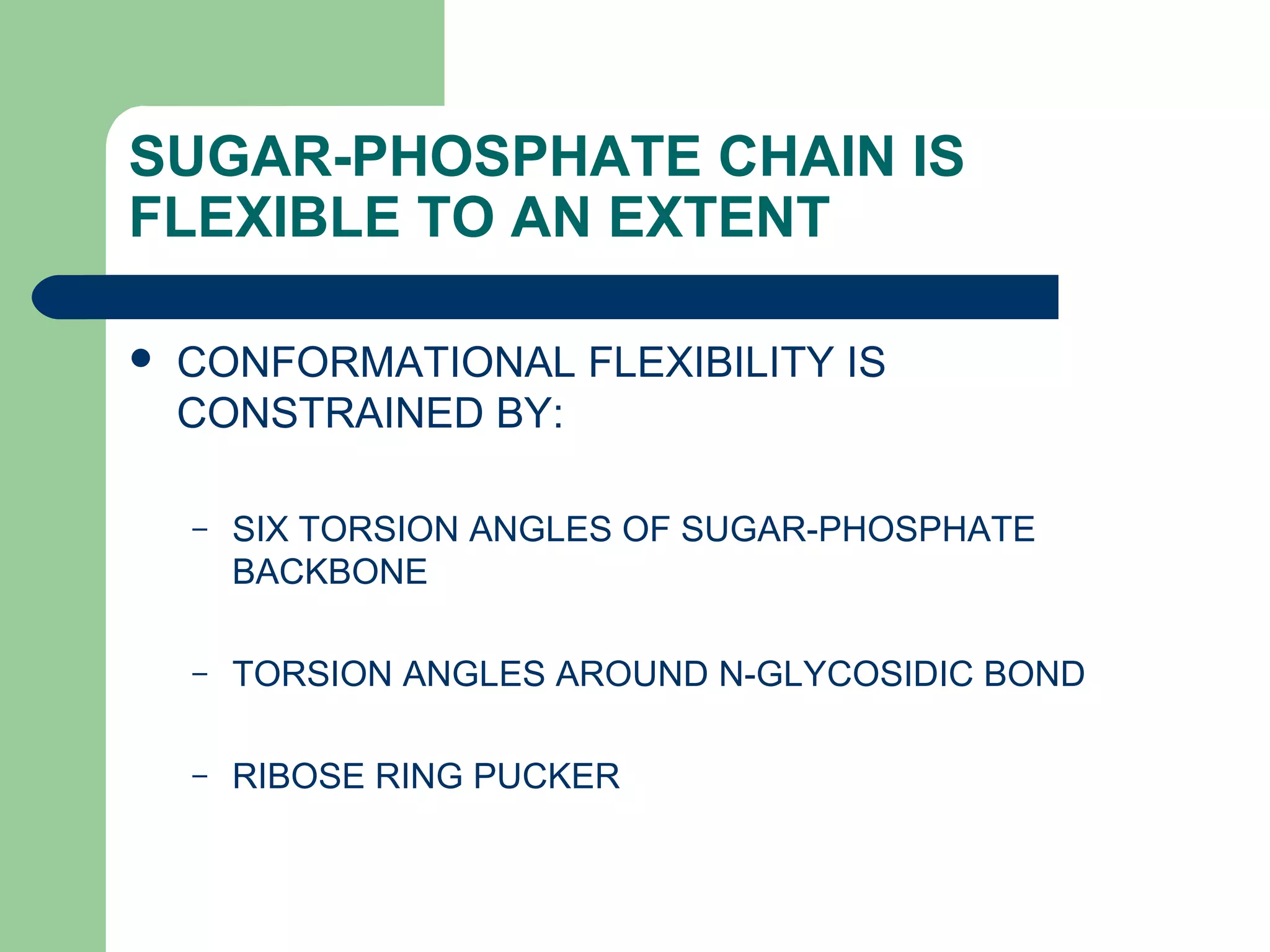 SUGAR-PHOSPHATE CHAIN IS
FLEXIBLE TO AN EXTENT
 CONFORMATIONAL FLEXIBILITY IS
CONSTRAINED BY:
– SIX TORSION ANGLES OF SUGAR-PHOSPHATE
BACKBONE
– TORSION ANGLES AROUND N-GLYCOSIDIC BOND
– RIBOSE RING PUCKER
 