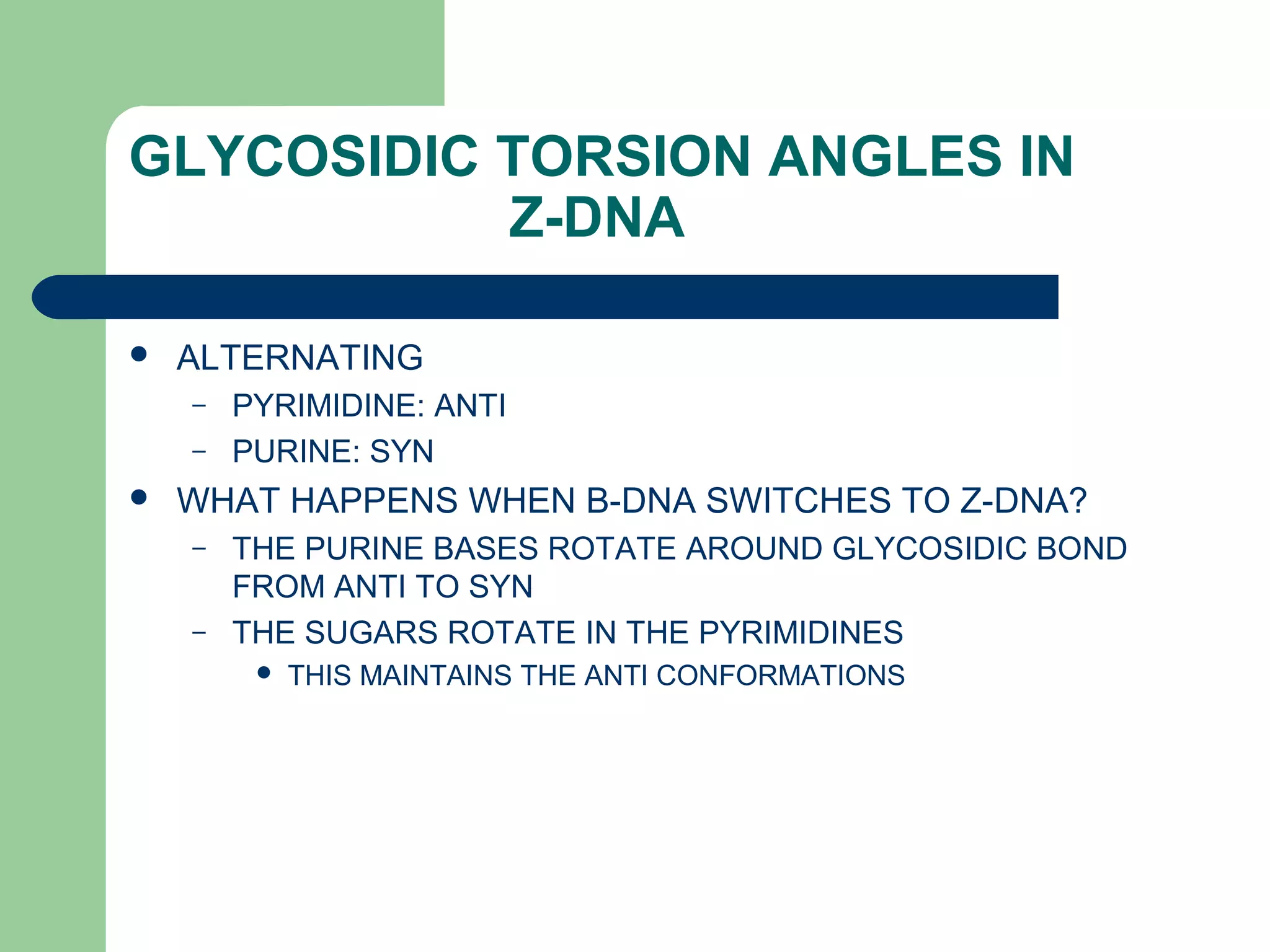 GLYCOSIDIC TORSION ANGLES IN
Z-DNA
 ALTERNATING
– PYRIMIDINE: ANTI
– PURINE: SYN
 WHAT HAPPENS WHEN B-DNA SWITCHES TO Z-DNA?
– THE PURINE BASES ROTATE AROUND GLYCOSIDIC BOND
FROM ANTI TO SYN
– THE SUGARS ROTATE IN THE PYRIMIDINES
 THIS MAINTAINS THE ANTI CONFORMATIONS
 
