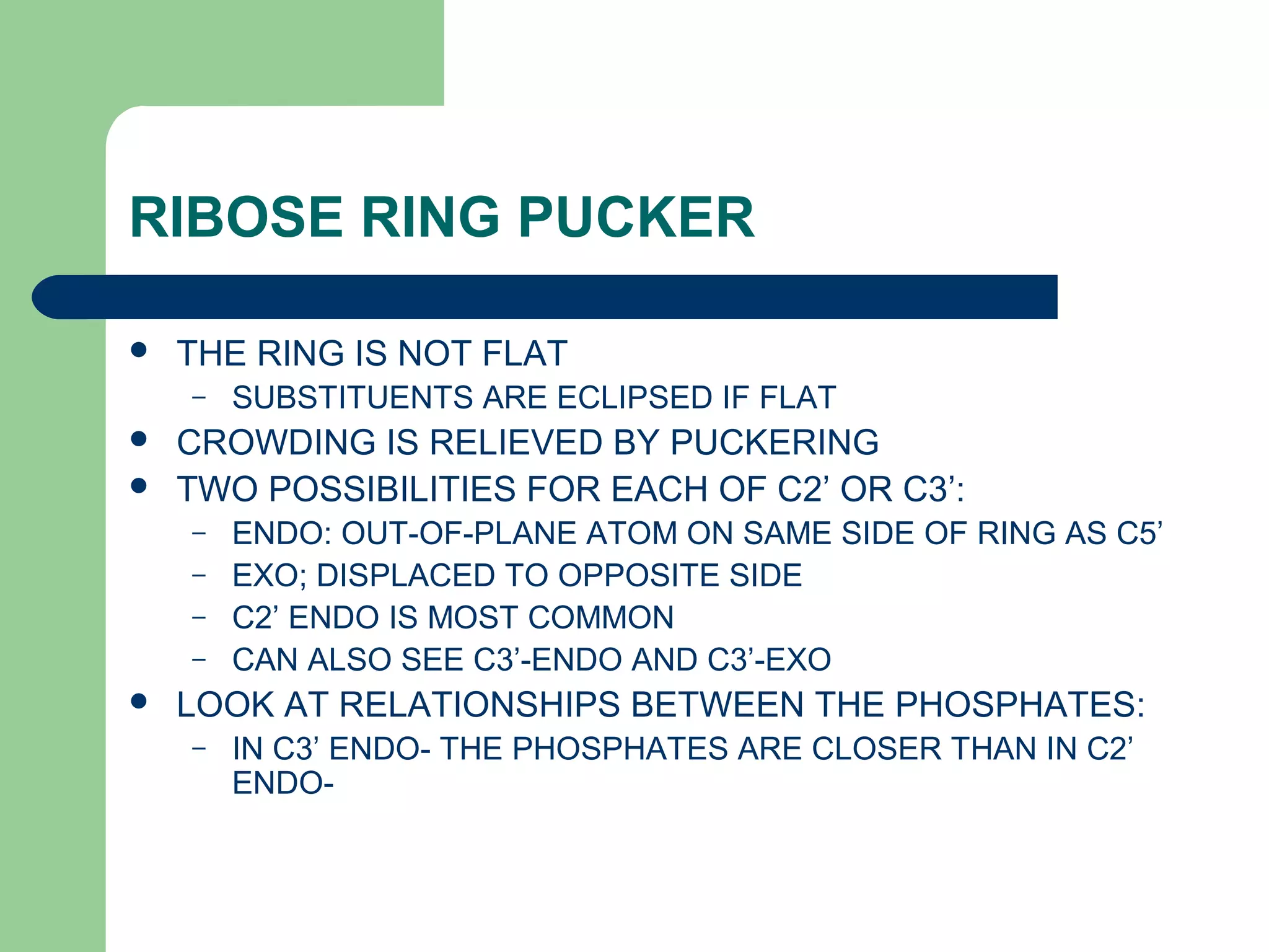 RIBOSE RING PUCKER
 THE RING IS NOT FLAT
– SUBSTITUENTS ARE ECLIPSED IF FLAT
 CROWDING IS RELIEVED BY PUCKERING
 TWO POSSIBILITIES FOR EACH OF C2’ OR C3’:
– ENDO: OUT-OF-PLANE ATOM ON SAME SIDE OF RING AS C5’
– EXO; DISPLACED TO OPPOSITE SIDE
– C2’ ENDO IS MOST COMMON
– CAN ALSO SEE C3’-ENDO AND C3’-EXO
 LOOK AT RELATIONSHIPS BETWEEN THE PHOSPHATES:
– IN C3’ ENDO- THE PHOSPHATES ARE CLOSER THAN IN C2’
ENDO-
 