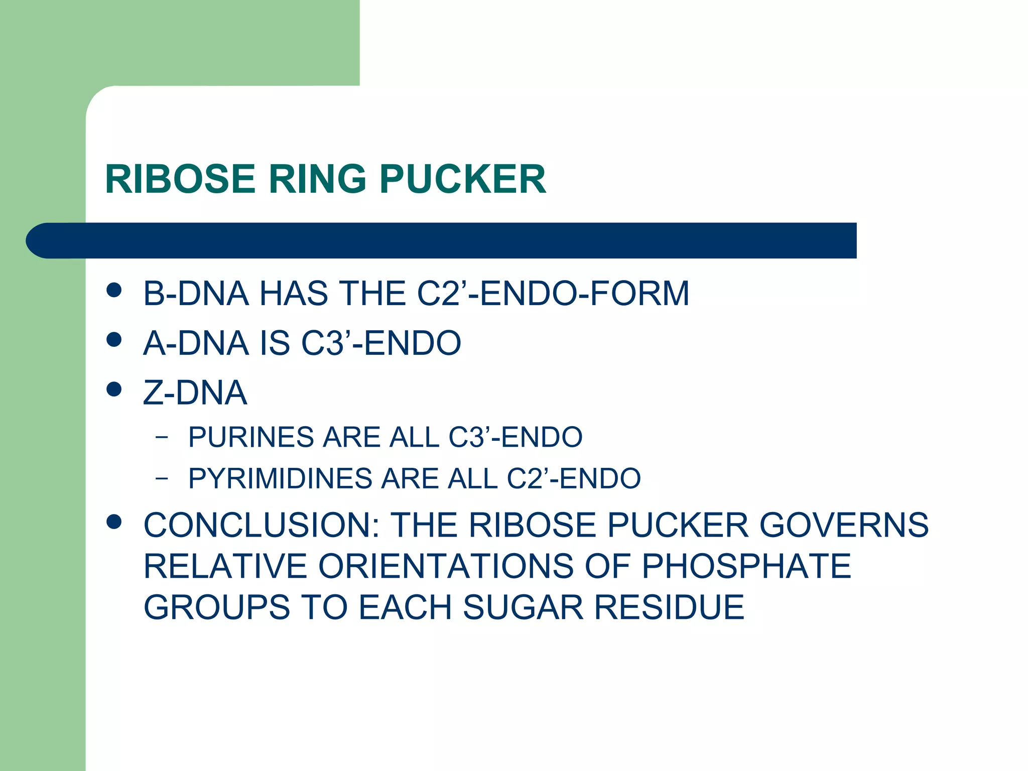 RIBOSE RING PUCKER
 B-DNA HAS THE C2’-ENDO-FORM
 A-DNA IS C3’-ENDO
 Z-DNA
– PURINES ARE ALL C3’-ENDO
– PYRIMIDINES ARE ALL C2’-ENDO
 CONCLUSION: THE RIBOSE PUCKER GOVERNS
RELATIVE ORIENTATIONS OF PHOSPHATE
GROUPS TO EACH SUGAR RESIDUE
 