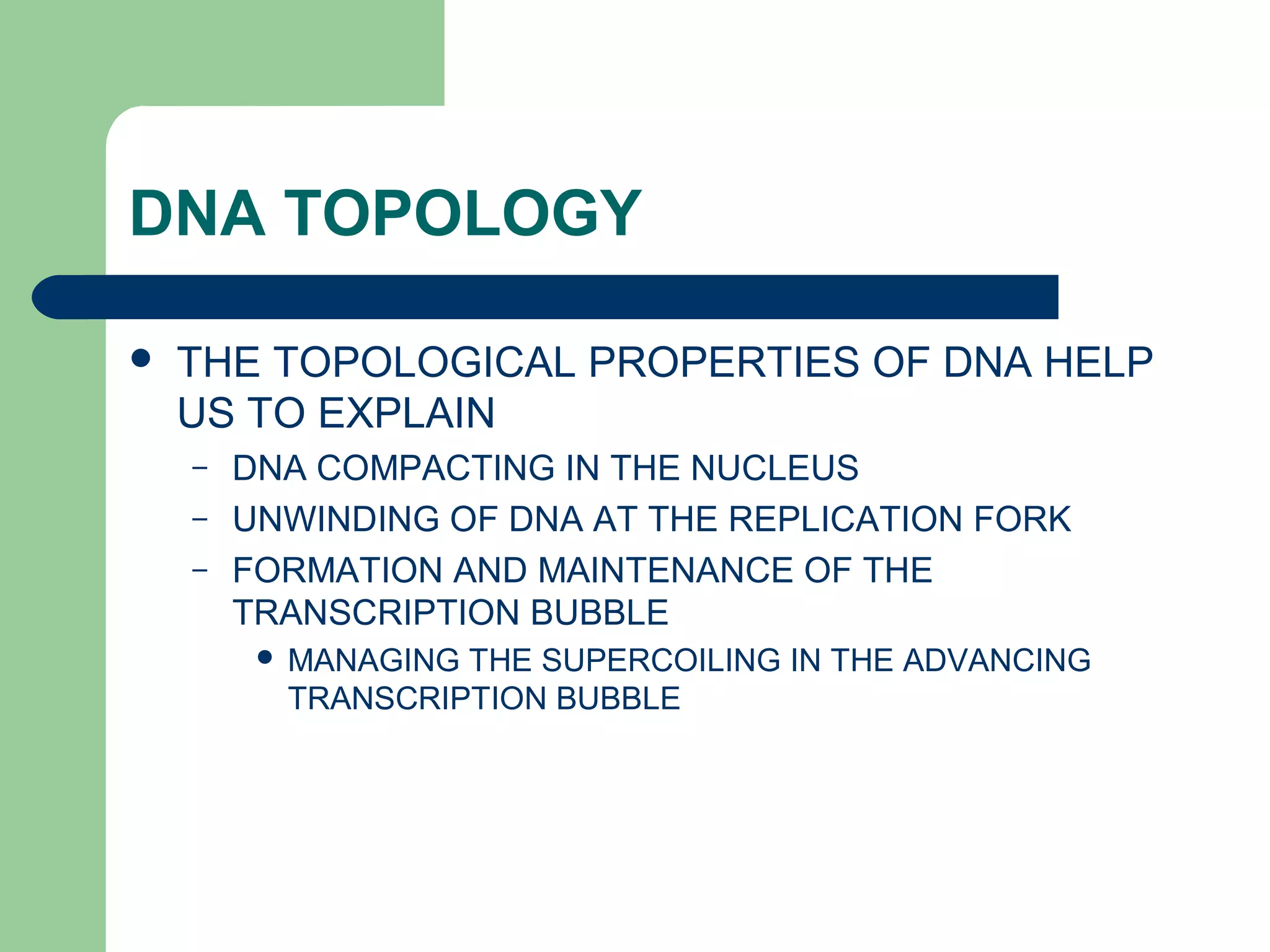 DNA TOPOLOGY
 THE TOPOLOGICAL PROPERTIES OF DNA HELP
US TO EXPLAIN
– DNA COMPACTING IN THE NUCLEUS
– UNWINDING OF DNA AT THE REPLICATION FORK
– FORMATION AND MAINTENANCE OF THE
TRANSCRIPTION BUBBLE
 MANAGING THE SUPERCOILING IN THE ADVANCING
TRANSCRIPTION BUBBLE
 