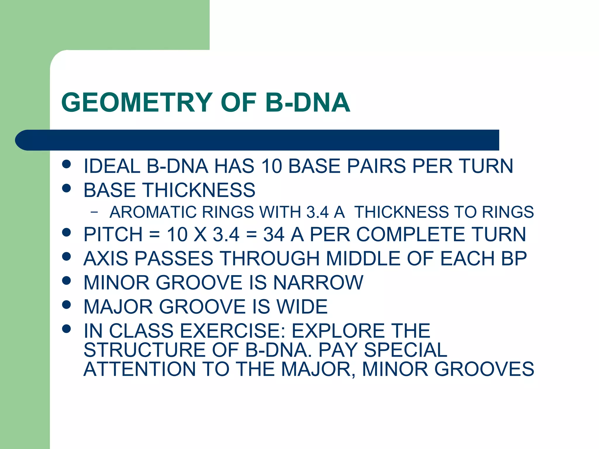 GEOMETRY OF B-DNA
 IDEAL B-DNA HAS 10 BASE PAIRS PER TURN
 BASE THICKNESS
– AROMATIC RINGS WITH 3.4 A THICKNESS TO RINGS
 PITCH = 10 X 3.4 = 34 A PER COMPLETE TURN
 AXIS PASSES THROUGH MIDDLE OF EACH BP
 MINOR GROOVE IS NARROW
 MAJOR GROOVE IS WIDE
 IN CLASS EXERCISE: EXPLORE THE
STRUCTURE OF B-DNA. PAY SPECIAL
ATTENTION TO THE MAJOR, MINOR GROOVES
 