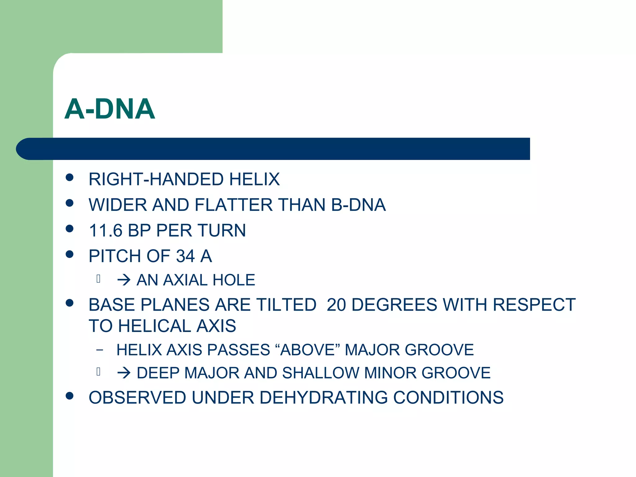 A-DNA
 RIGHT-HANDED HELIX
 WIDER AND FLATTER THAN B-DNA
 11.6 BP PER TURN
 PITCH OF 34 A
  AN AXIAL HOLE
 BASE PLANES ARE TILTED 20 DEGREES WITH RESPECT
TO HELICAL AXIS
– HELIX AXIS PASSES “ABOVE” MAJOR GROOVE
  DEEP MAJOR AND SHALLOW MINOR GROOVE
 OBSERVED UNDER DEHYDRATING CONDITIONS
 