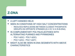 Z-DNA
 A LEFT-HANDED HELIX
 SEEN IN CONDITIONS OF HIGH SALT CONCENTRATIONS
– REDUCES REPULSIONS BETWEEN CLOSEST PHOSPHATE
GROUPS ON OPPOSITE STRANDS (8 A VS 12 A IN B-DNA)
 IN COMPLEMENTARY POLYNUCLEOTIDES WITH
ALTERNATING PURINES AND PYRIMIDINES
– POLY d(GC) · POLY d(GC)
– POLY d(AC) ⋅ POLY d(GT)
 MIGHT ALSO BE SEEN IN DNA SEGMENTS WITH ABOVE
CHARACTERISTICS
 