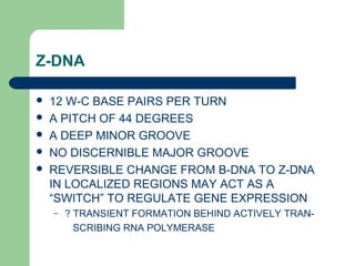 Z-DNA
 12 W-C BASE PAIRS PER TURN
 A PITCH OF 44 DEGREES
 A DEEP MINOR GROOVE
 NO DISCERNIBLE MAJOR GROOVE
 REVERSIBLE CHANGE FROM B-DNA TO Z-DNA
IN LOCALIZED REGIONS MAY ACT AS A
“SWITCH” TO REGULATE GENE EXPRESSION
– ? TRANSIENT FORMATION BEHIND ACTIVELY TRAN-
SCRIBING RNA POLYMERASE
 