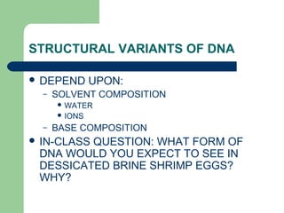STRUCTURAL VARIANTS OF DNA
 DEPEND UPON:
– SOLVENT COMPOSITION
 WATER
 IONS
– BASE COMPOSITION
 IN-CLASS QUESTION: WHAT FORM OF
DNA WOULD YOU EXPECT TO SEE IN
DESSICATED BRINE SHRIMP EGGS?
WHY?
 