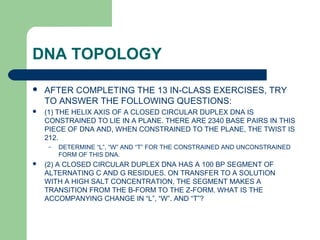 DNA TOPOLOGY
 AFTER COMPLETING THE 13 IN-CLASS EXERCISES, TRY
TO ANSWER THE FOLLOWING QUESTIONS:
 (1) THE HELIX AXIS OF A CLOSED CIRCULAR DUPLEX DNA IS
CONSTRAINED TO LIE IN A PLANE. THERE ARE 2340 BASE PAIRS IN THIS
PIECE OF DNA AND, WHEN CONSTRAINED TO THE PLANE, THE TWIST IS
212.
– DETERMINE “L”, “W” AND “T” FOR THE CONSTRAINED AND UNCONSTRAINED
FORM OF THIS DNA.
 (2) A CLOSED CIRCULAR DUPLEX DNA HAS A 100 BP SEGMENT OF
ALTERNATING C AND G RESIDUES. ON TRANSFER TO A SOLUTION
WITH A HIGH SALT CONCENTRATION, THE SEGMENT MAKES A
TRANSITION FROM THE B-FORM TO THE Z-FORM. WHAT IS THE
ACCOMPANYING CHANGE IN “L”, “W”. AND “T”?
 