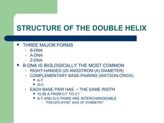 STRUCTURE OF THE DOUBLE HELIX
 THREE MAJOR FORMS
– B-DNA
– A-DNA
– Z-DNA
 B-DNA IS BIOLOGICALLY THE MOST COMMON
– RIGHT-HANDED (20 ANGSTROM (A) DIAMETER)
– COMPLEMENTARY BASE-PAIRING (WATSON-CRICK)
 A-T
 G-C
– EACH BASE PAIR HAS ~ THE SAME WIDTH
 10.85 A FROM C1’ TO C1’
 A-T AND G-C PAIRS ARE INTERCHANGEABLE
– “PSEUDO-DYAD” AXIS OF SYMMETRY
 
