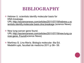 BIBLIOGRAPHY Hebrew U. scientists identify molecular basis for DNA breakage. URL: http://esciencenews.com/articles/2011/07/19/hebrew.u.scientists.identify.molecular.basis.dna.breakage  (science News) New lung-cancer gene found. URL: http://esciencenews.com/articles/2011/07/19/new.lung.cancer.gene. Found (science News) Martínez S. Lina María. Biología molecular. 6ta Ed. Medellín:upb, facultad de medicina 2011.p 56– 59. 