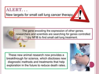ALERT. . .  New targets for small cell lung cancer therapy. The gene encoding the expression of other genes. researchers and scientists are searching for genes controlled by NFIB to find small cell lung treatment. These new animal research now provides a breakthrough for science, which discloses new diagnostic methods and treatments that help exploration in the future to reduce death rates. 