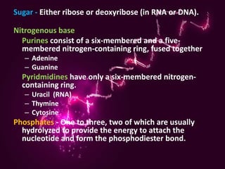 Sugar - Either ribose or deoxyribose (in RNA or DNA).

Nitrogenous base
  Purines consist of a six-membered and a five-
  membered nitrogen-containing ring, fused together
   – Adenine
   – Guanine
  Pyridmidines have only a six-membered nitrogen-
  containing ring.
   – Uracil (RNA)
   – Thymine
   – Cytosine
Phosphates - One to three, two of which are usually
  hydrolyzed to provide the energy to attach the
  nucleotide and form the phosphodiester bond.
 
