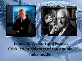James D. Watson and Francis
Crick, co-originators of the double-
            helix model.
 