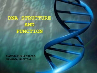 DNA STRUCTURE
      AND
   FUNCTION



DIAMSAY, ELISHA GRACE B.
MENDOZA, LINETTE M.
 