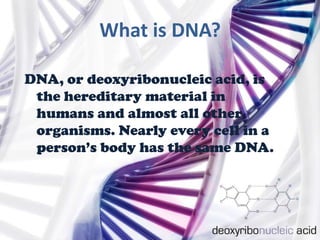 What is DNA?

DNA, or deoxyribonucleic acid, is
 the hereditary material in
 humans and almost all other
 organisms. Nearl...