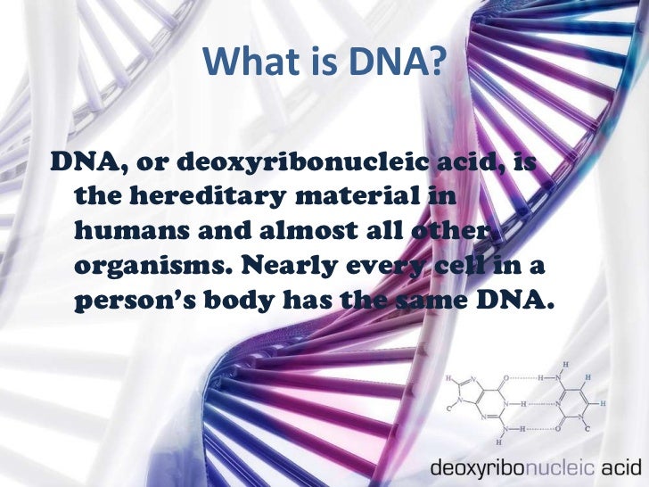 What is the function of DNA in the human body?