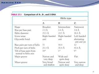 Alte rnative D N A




                     18
 
