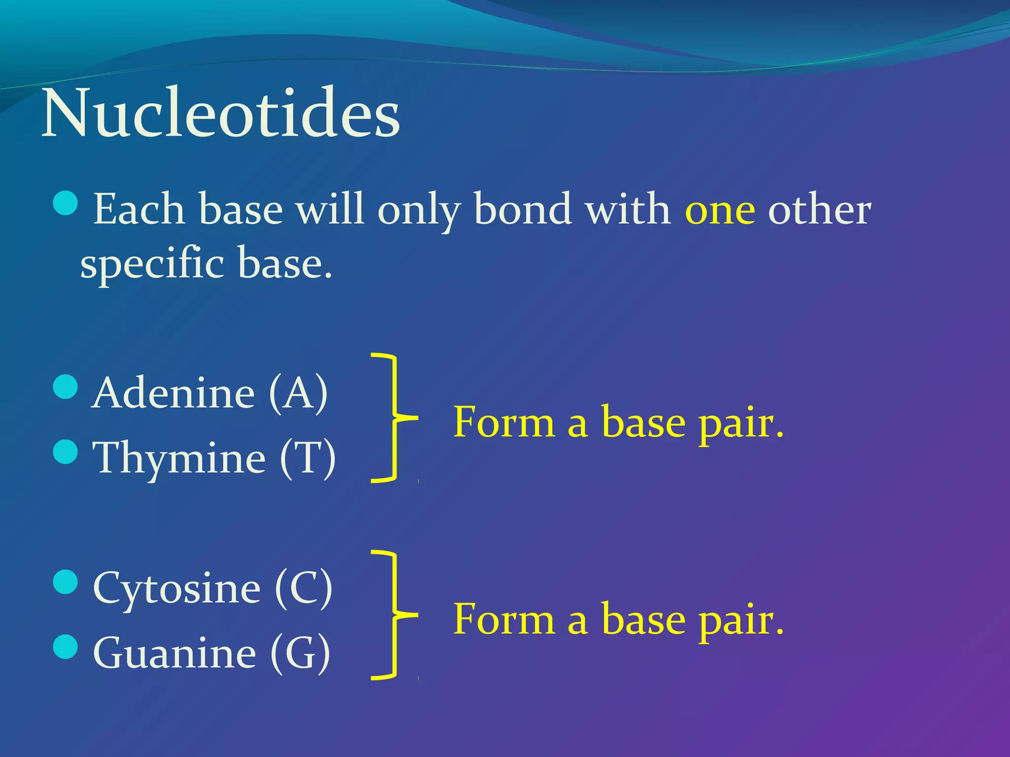 Nucleotides
Each base will only bond with one other
 specific base.

Adenine (A)
                   Form a base pair.
Thymine (T)


Cytosine (C)
                   Form a base pair.
Guanine (G)
 